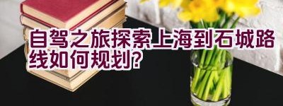 自驾之旅探索上海到石城路线如何规划？