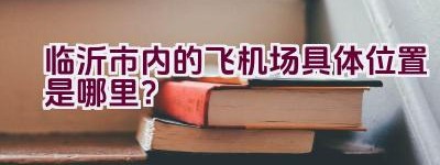 临沂市内的飞机场具体位置是哪里？