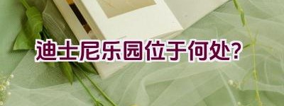 迪士尼乐园位于何处？