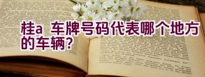 桂a车牌号码代表哪个地方的车辆？