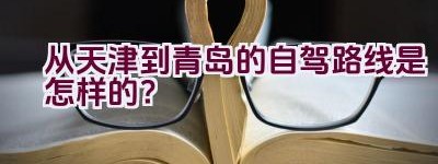 从天津到青岛的自驾路线是怎样的？