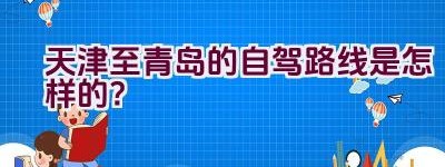 天津至青岛的自驾路线是怎样的？