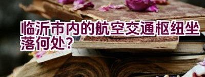 临沂市内的航空交通枢纽坐落何处？