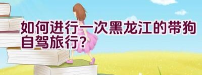 如何进行一次黑龙江的带狗自驾旅行？