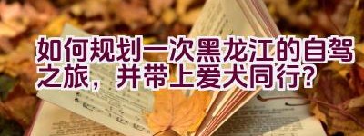 “如何规划一次黑龙江的自驾之旅，并带上爱犬同行？”