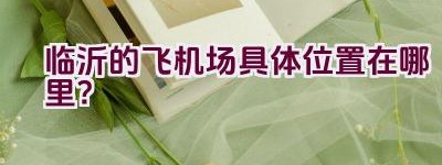 临沂的飞机场具体位置在哪里？