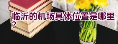 临沂的机场具体位置是哪里？