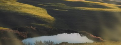 松林漫步·惠山独秀｜探索松涛秘境，深呼吸自然芬芳