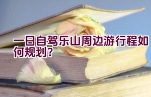 一日自驾乐山周边游行程如何规划？