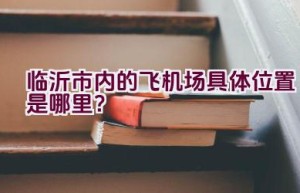 临沂市内的飞机场具体位置是哪里？