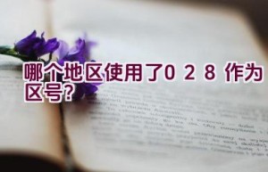 哪个地区使用了028作为区号？