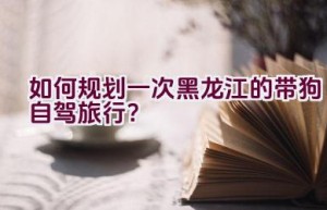 如何规划一次黑龙江的带狗自驾旅行？