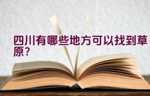 四川有哪些地方可以找到草原？