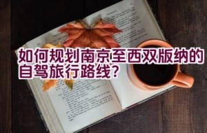 如何规划南京至西双版纳的自驾旅行路线？