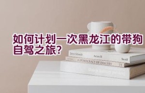 如何计划一次黑龙江的带狗自驾之旅？