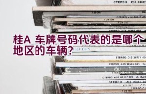 桂A车牌号码代表的是哪个地区的车辆？