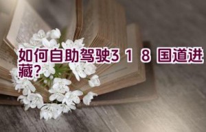 如何自助驾驶318国道进藏？