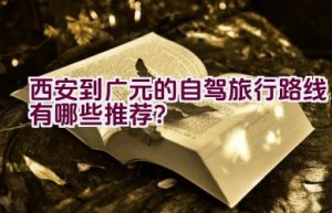 西安到广元的自驾旅行路线有哪些推荐？