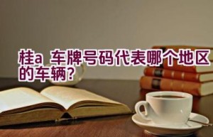 桂a车牌号码代表哪个地区的车辆？