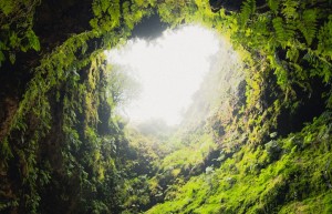 探索山海·漆树堂：丛林秘境与高山草甸的穿梭之旅