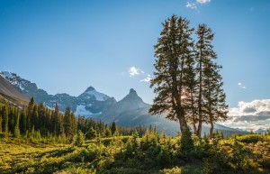 格聂环线经典徒步之旅8天行程