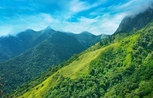 [穿梭山城·雾都重庆全景游]