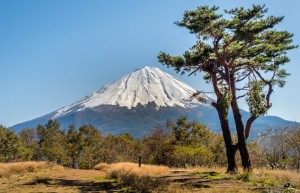 从浦东启程·探索西湖群山中的九溪十八涧