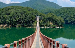 金佛山一日自驾游行程推荐