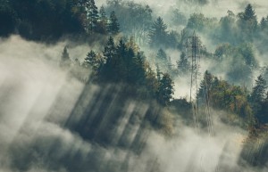 上海周边自驾游推荐景点指南，探索上海附近不容错过的自驾游去处。