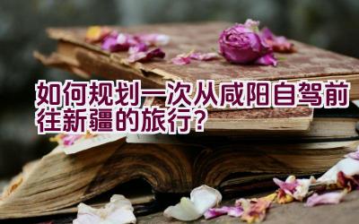 如何规划一次从咸阳自驾前往新疆的旅行？插图