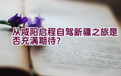 从咸阳启程自驾新疆之旅是否充满期待？插图