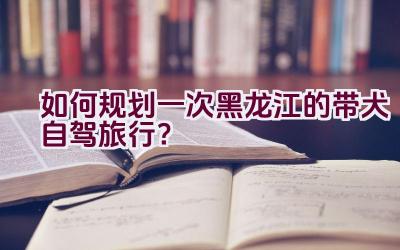 如何规划一次黑龙江的带犬自驾旅行？插图