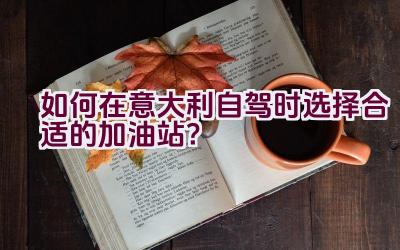 如何在意大利自驾时选择合适的加油站？插图