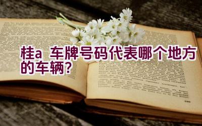 桂a车牌号码代表哪个地方的车辆？插图