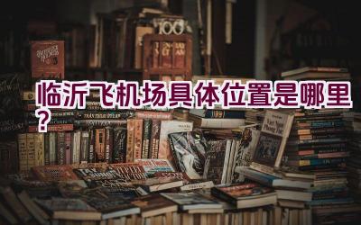 临沂飞机场具体位置是哪里？插图