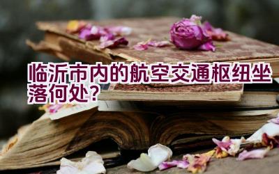 临沂市内的航空交通枢纽坐落何处？插图