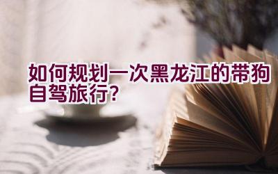 如何规划一次黑龙江的带狗自驾旅行？插图