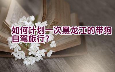 如何计划一次黑龙江的带狗自驾旅行？插图