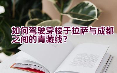 如何驾驶穿梭于拉萨与成都之间的青藏线？插图