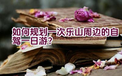 如何规划一次乐山周边的自驾一日游？插图