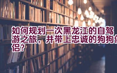 如何规划一次黑龙江的自驾游之旅，并带上忠诚的狗狗伴侣？插图