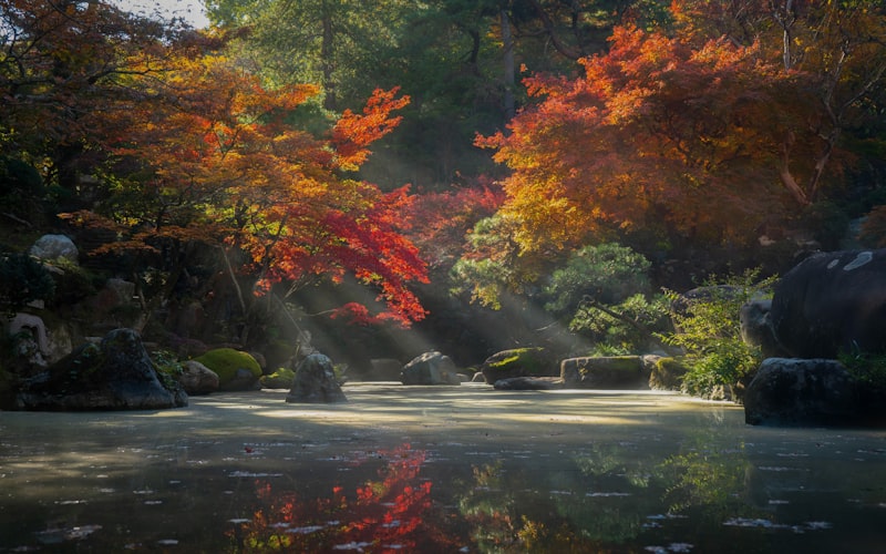 访禅寺·御茶道漫步，静心日铸祈福素斋之旅插图