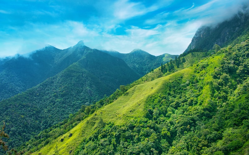 东极岛之旅·3日探索东福山与庙子湖双岛魅力插图