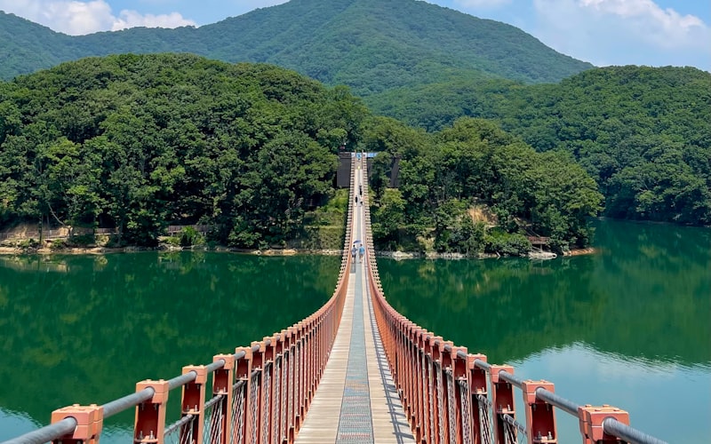 金佛山一日自驾游行程推荐插图