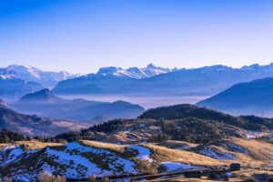 魔幻森林探秘之旅｜正果老街的美食寻访缩略图